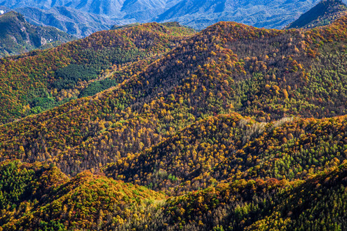 靈巖山風(fēng)景區(qū)要門票嗎 靈巖山風(fēng)景區(qū)介紹