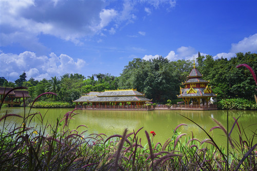 西雙版納曼聽(tīng)公園門票 篝火晚會(huì)價(jià)格及時(shí)間