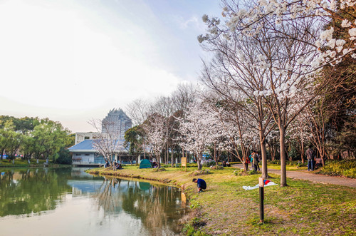 上海特色公園有哪些 這幾個值得一去