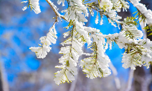 冠狀病毒會(huì)通過(guò)雪傳播嗎 冠狀病毒傳播途徑