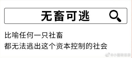 社畜是什么梗什么意思 形容社畜的成語表情包