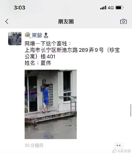 上海男子踩踏小貓完整視頻 上海踩死小貓男子個(gè)人資料