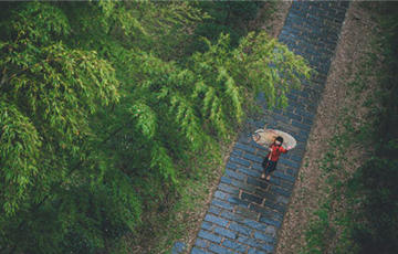 深圳未來一周仍有局部強降雨 深圳未來十天天氣預(yù)報