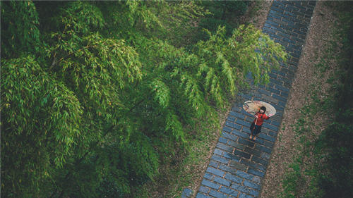 深圳未來一周仍有局部強降雨 深圳未來十天天氣預報