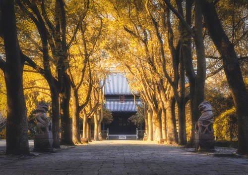 深圳萬佛禪寺?8月31日起有序恢復(fù)開放