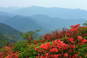 梧桐山爬山游玩攻略 梧桐山登山線路推薦