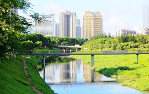 深圳中心公園可以玩水嗎 帶娃玩水好去處