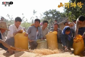 山河錦繡柳大滿角色介紹 柳大滿扮演者是誰(shuí)